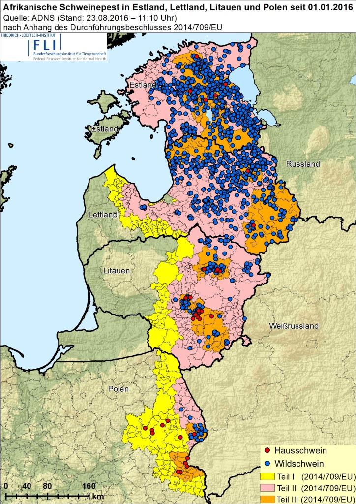 Karte zur Afrikanischen Schweinepest (Quelle: FLI) Stand August 2016